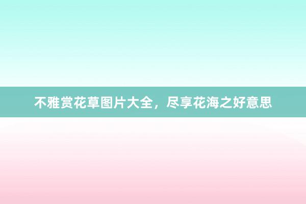 不雅赏花草图片大全，尽享花海之好意思