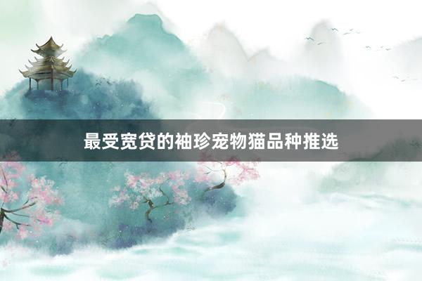 最受宽贷的袖珍宠物猫品种推选