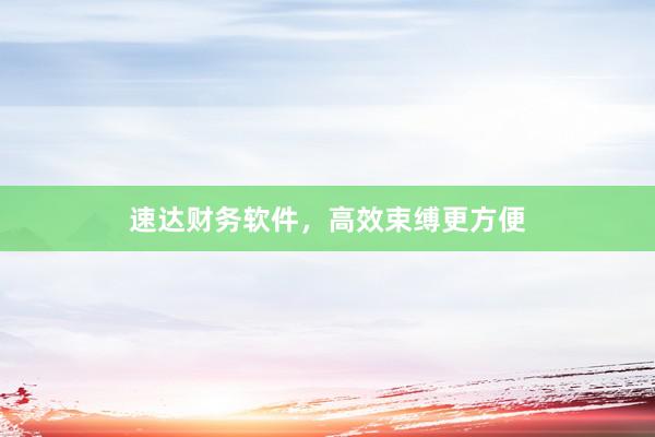 速达财务软件，高效束缚更方便