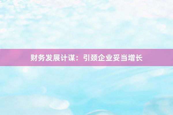 财务发展计谋:引颈企业妥当增长